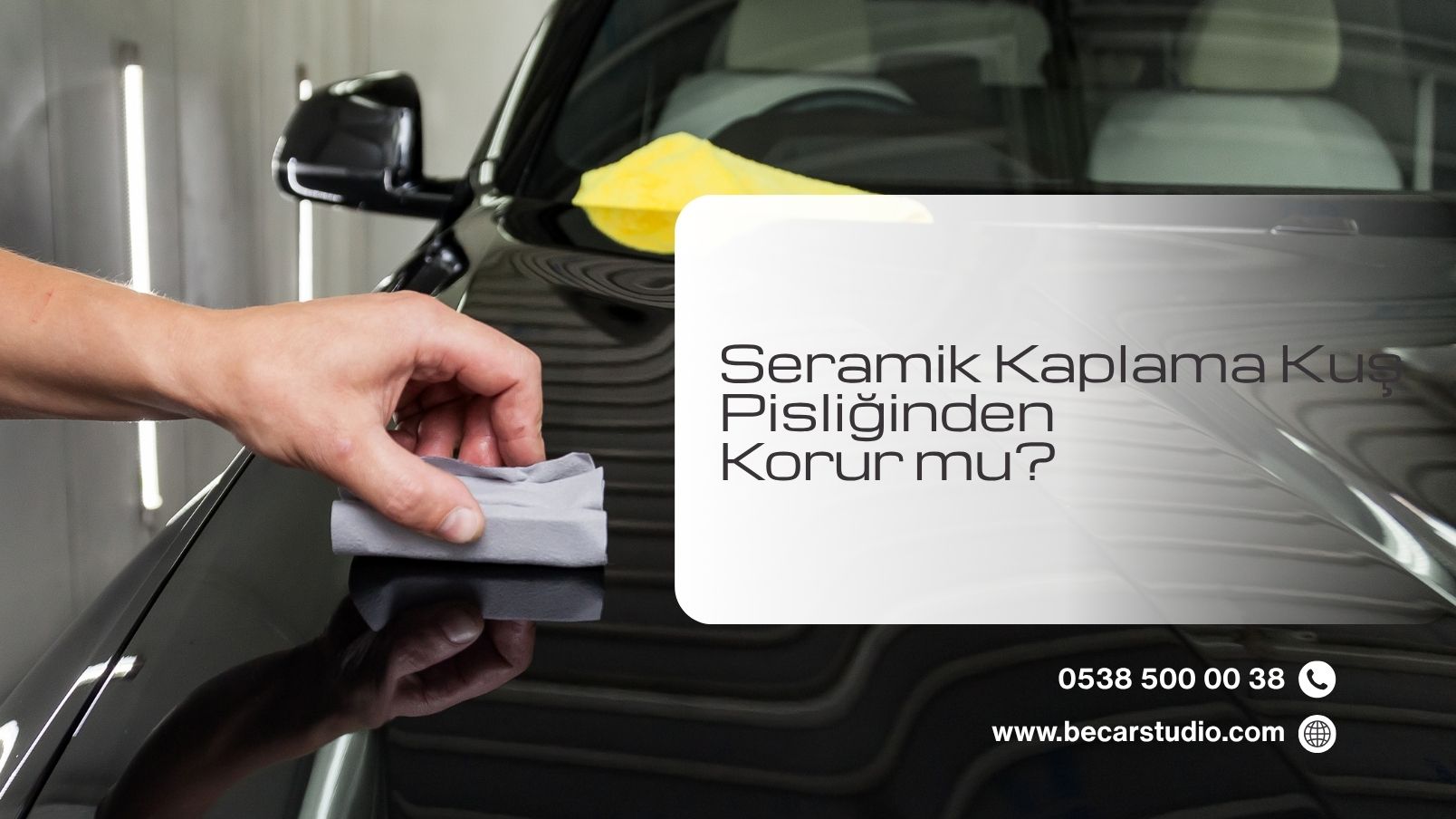 Seramik Kaplama Kuş Pisliğinden Korur mu?